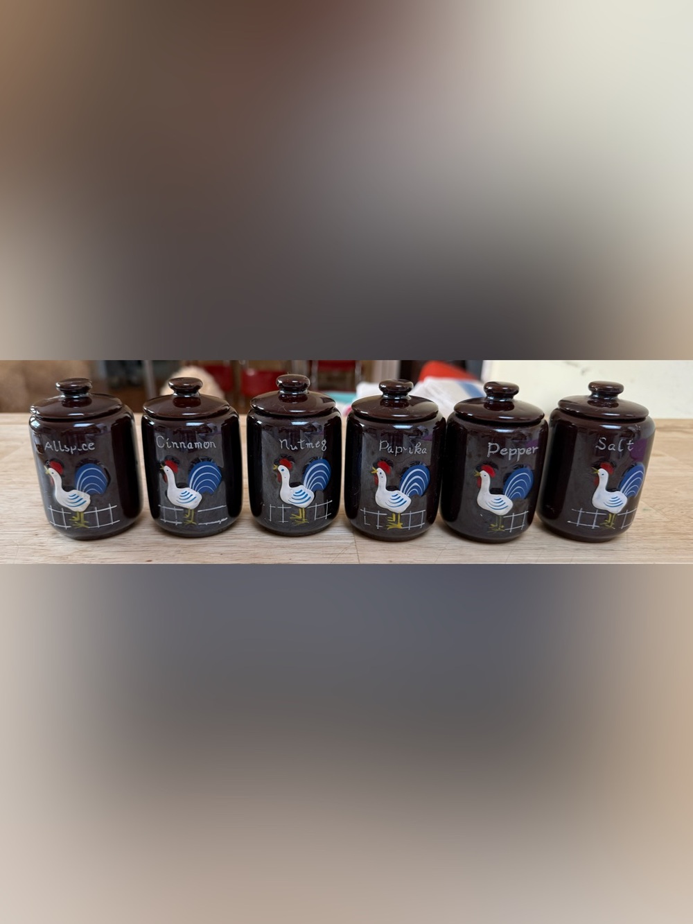 Rooster Ceramic Spice Jars Set - Brown